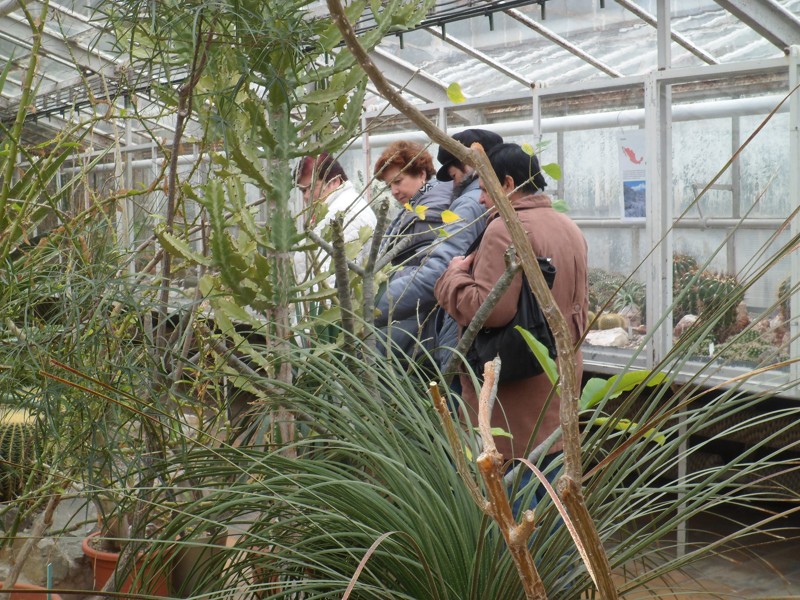 Botanicka zahrada 2013 12.JPG