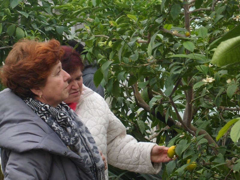 Botanicka zahrada 2013 16.JPG