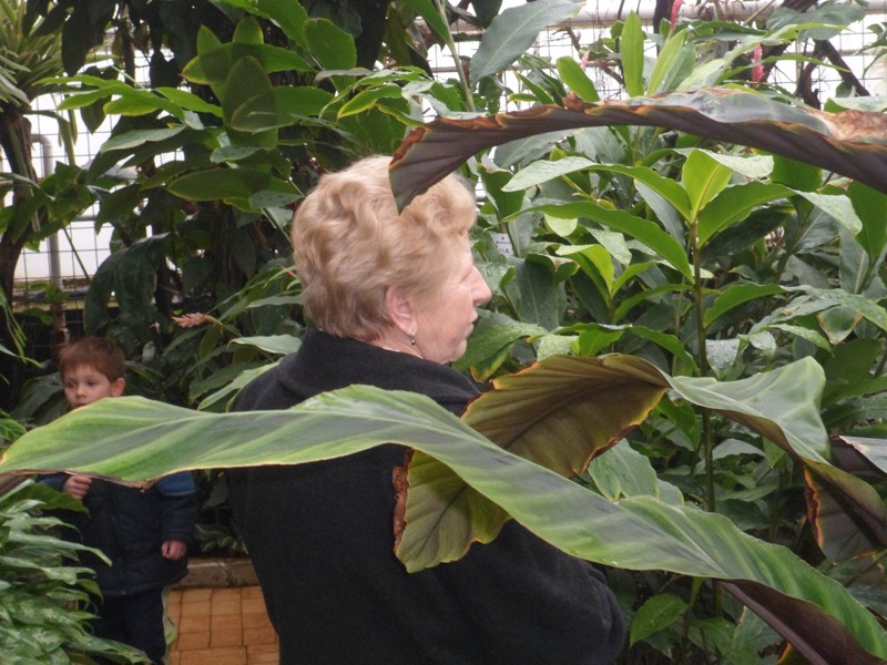 Botanicka zahrada 2013 21.JPG