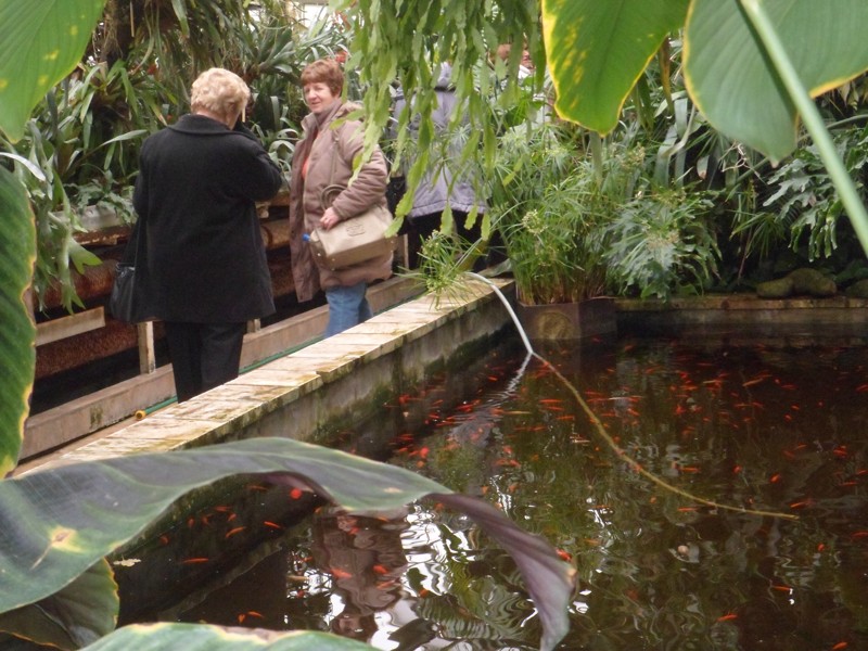 Botanicka zahrada 2013 22.JPG