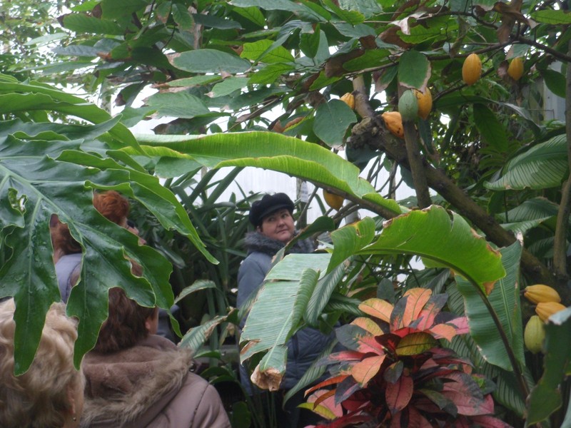 Botanicka zahrada 2013 25.JPG