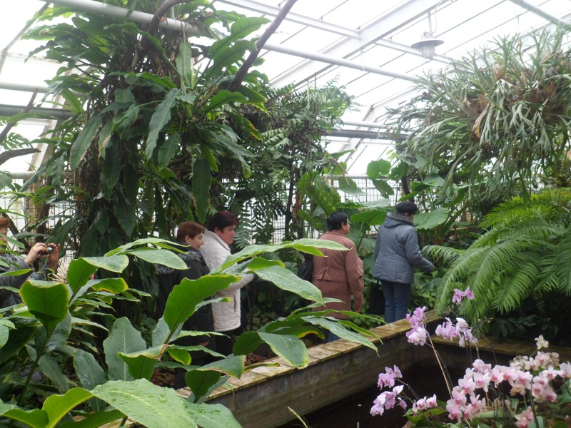 Botanicka zahrada 2013 26.JPG