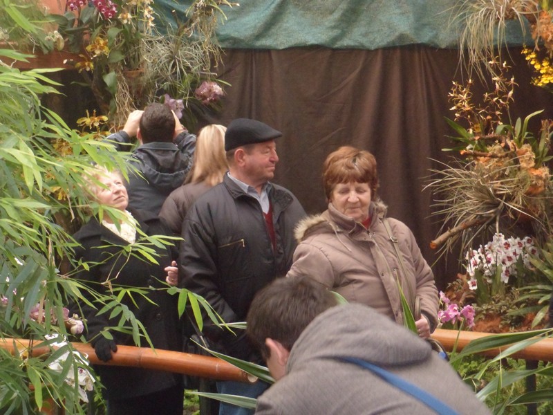 Botanicka zahrada 2013 28.JPG