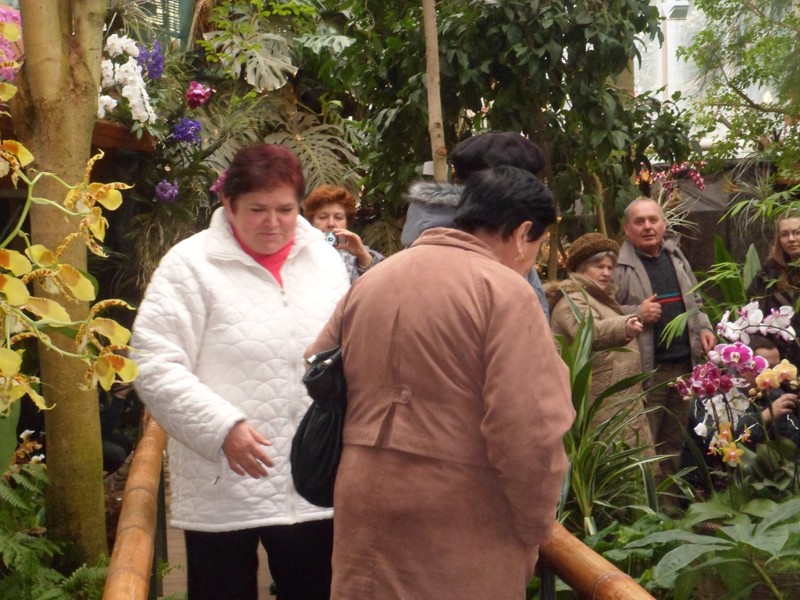 Botanicka zahrada 2013 31.JPG