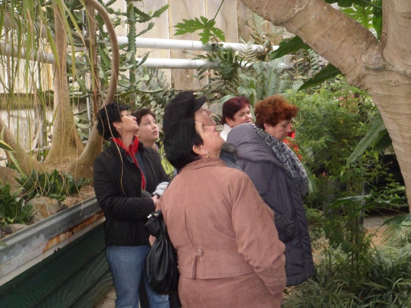 Botanicka zahrada 2013 7.JPG