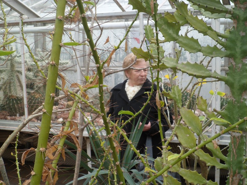 Botanicka zahrada 2013 9.JPG