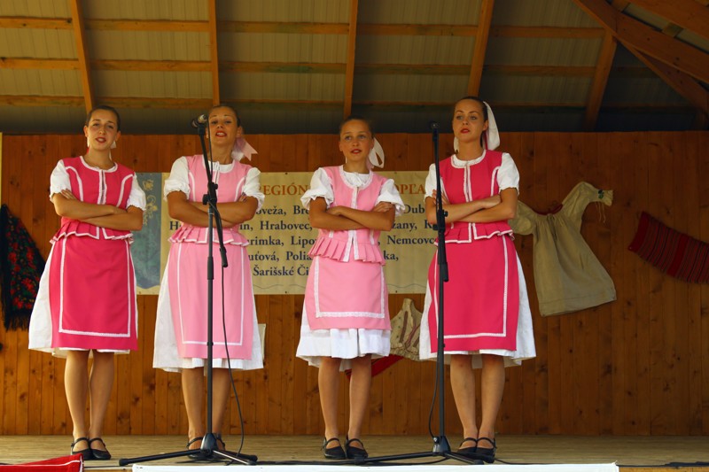 Mikroregion 2013 (47).JPG