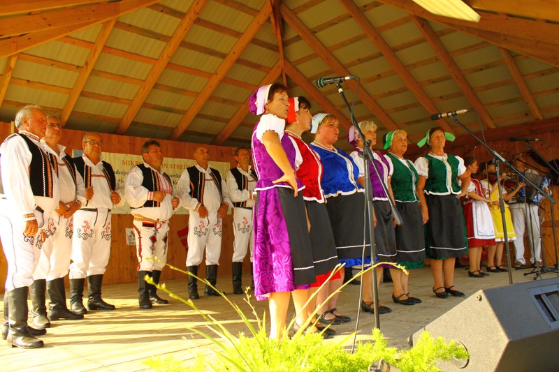 Mikroregion 2013 (84).JPG