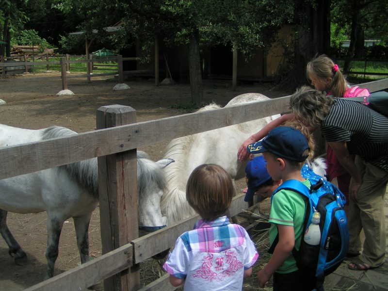 PICT0008.JPG