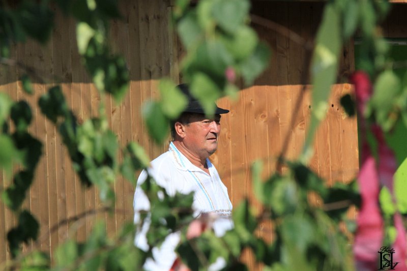 Festival 2016   40.JPG