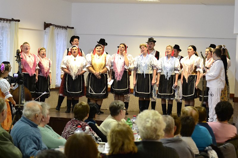 Posedenie_seniorov2016  21.JPG