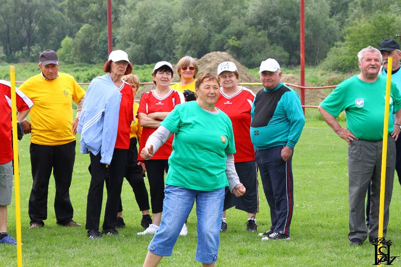 Sporotvy_hry_seniorov   27.JPG