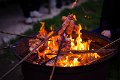 Vatra 2017   24