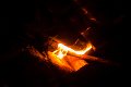 Vatra 2017   29