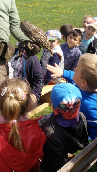 Sokoliari Kurima 12.jpg