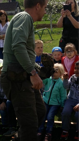 Sokoliari Kurima 13.jpg