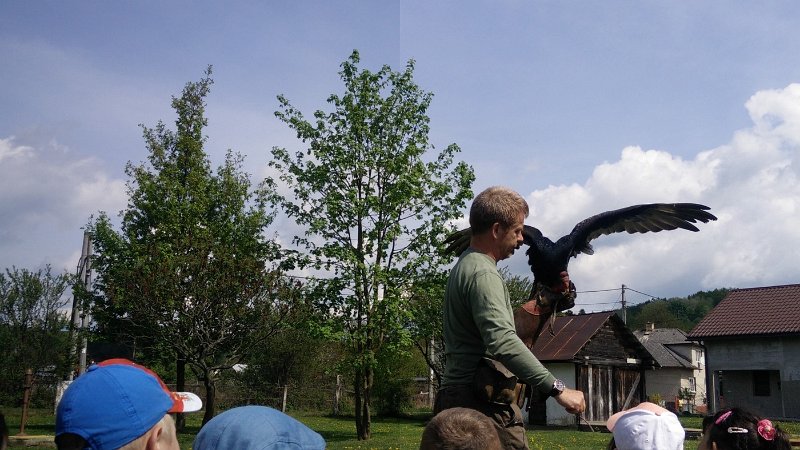 Sokoliari Kurima 14.jpg