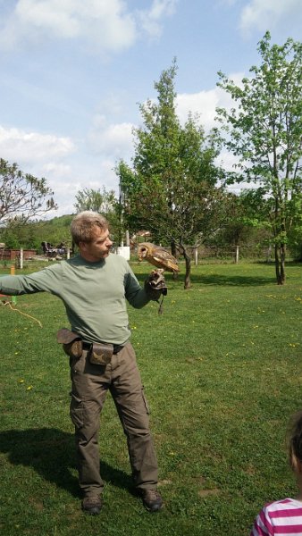 Sokoliari Kurima 16.jpg