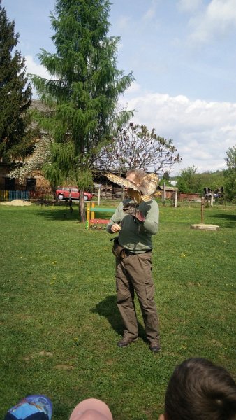 Sokoliari Kurima 18.jpg