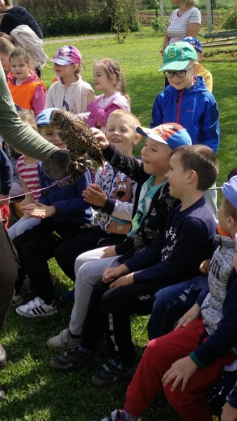 Sokoliari Kurima 20.jpg