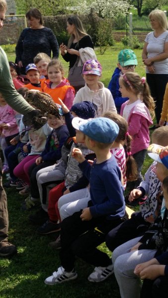 Sokoliari Kurima 21.jpg