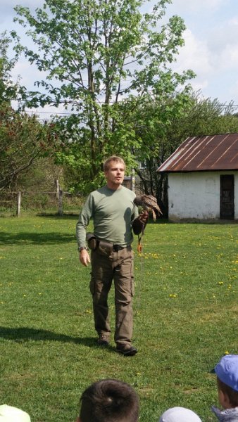 Sokoliari Kurima 22.jpg