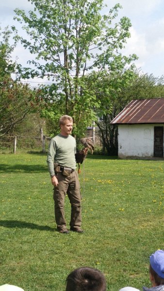 Sokoliari Kurima 23.jpg