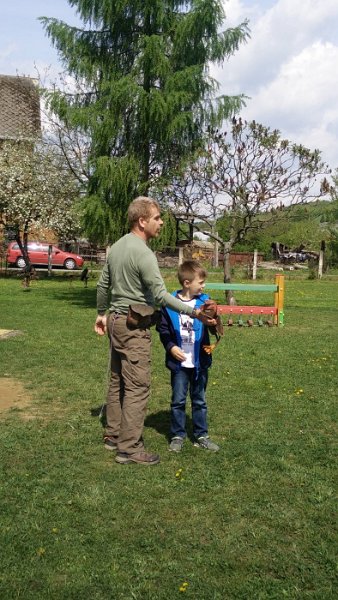 Sokoliari Kurima 5.jpg