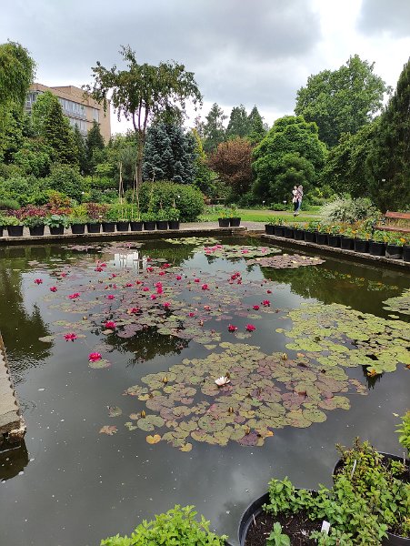 Vylet Alpinka 12.jpg