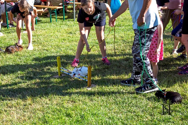 Dubinska varecha 248.jpg