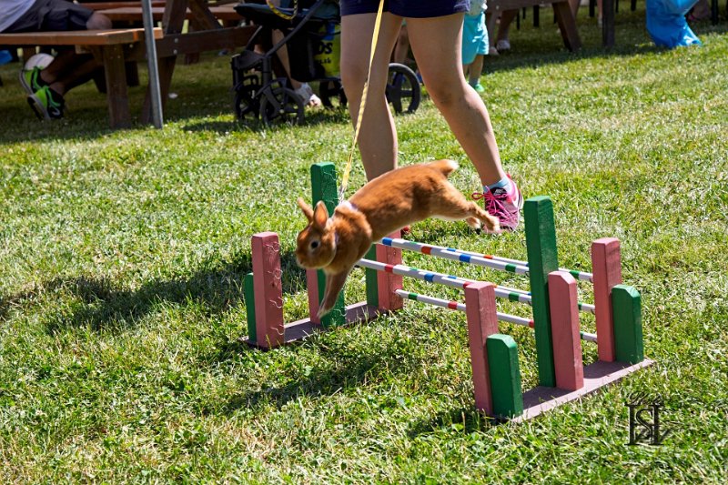 Dubinska varecha 74.jpg