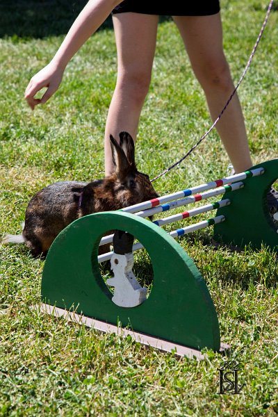 Dubinska varecha 82.jpg