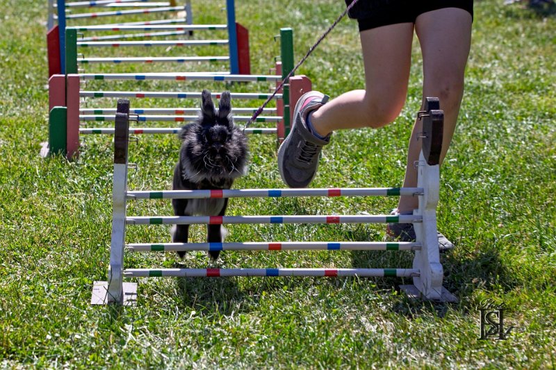 Dubinska varecha 98.jpg